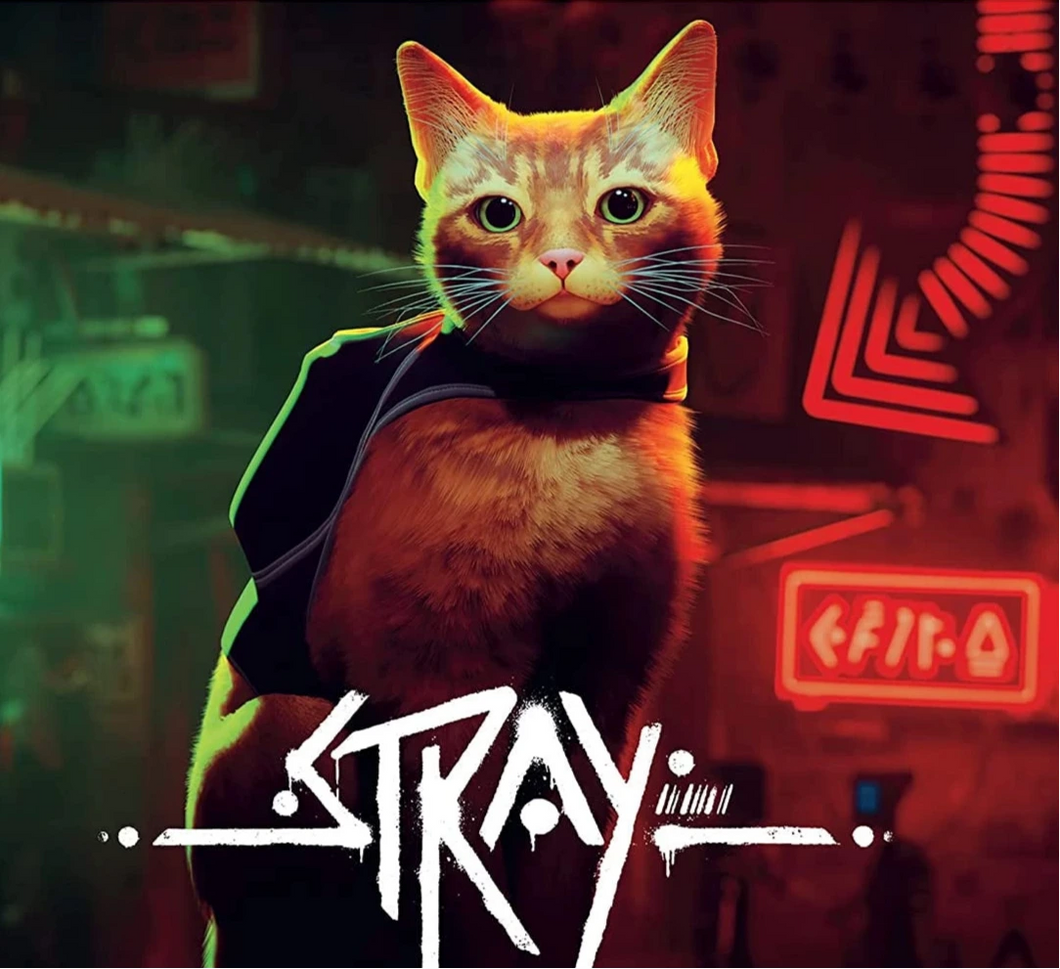 Stray / PS5